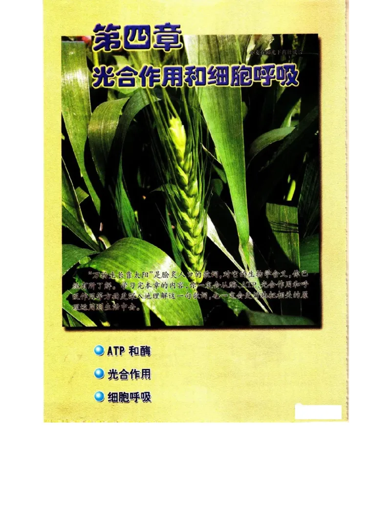 苏教版高中生物必修1《分子与细胞》电子课本_4-教培资料-26年最新资料-同步更新_初中高中教资_03科三专项（进去保存报考的学科即可）_112025高中科目（全）电子教材