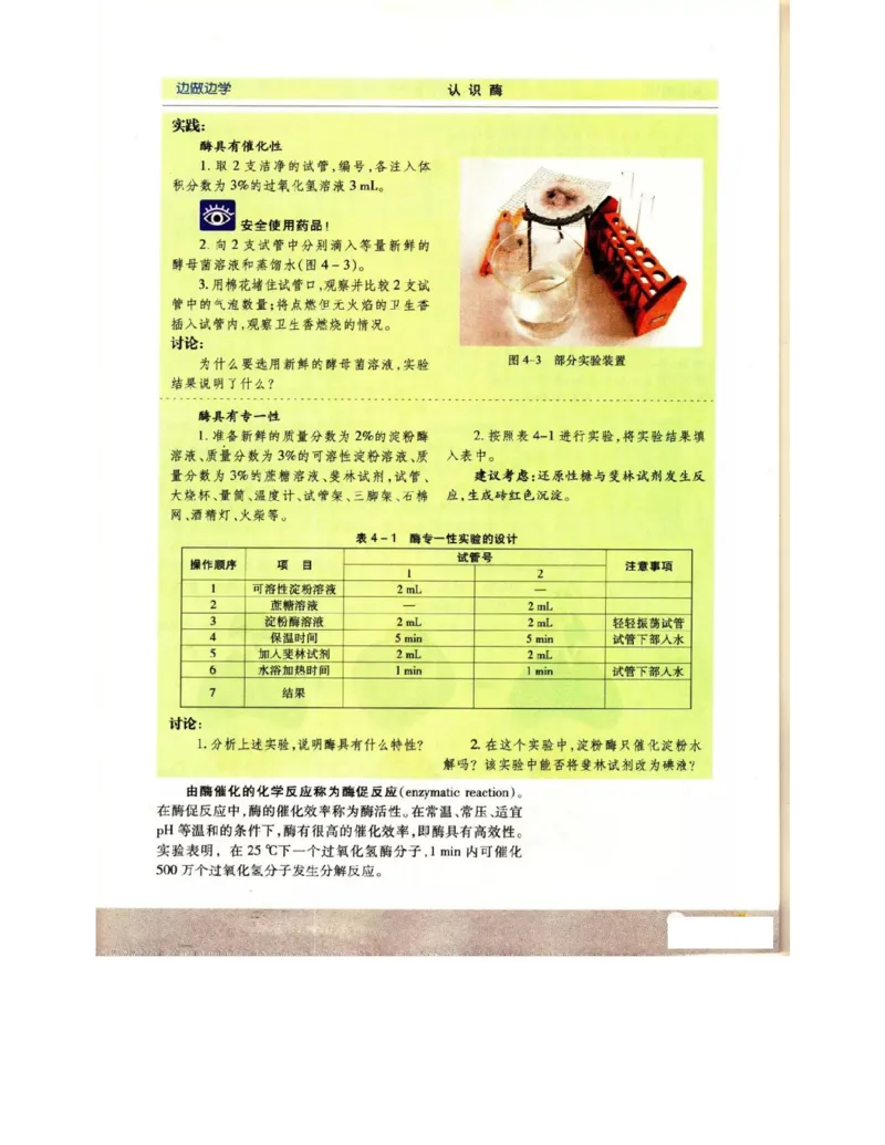 苏教版高中生物必修1《分子与细胞》电子课本_4-教培资料-26年最新资料-同步更新_初中高中教资_03科三专项（进去保存报考的学科即可）_112025高中科目（全）电子教材