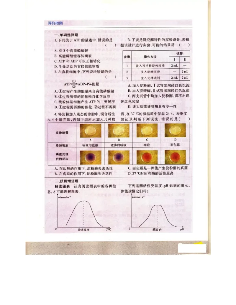 苏教版高中生物必修1《分子与细胞》电子课本_4-教培资料-26年最新资料-同步更新_初中高中教资_03科三专项（进去保存报考的学科即可）_112025高中科目（全）电子教材