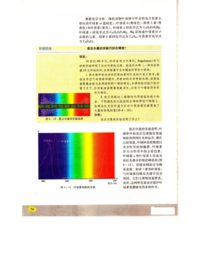 苏教版高中生物必修1《分子与细胞》电子课本_4-教培资料-26年最新资料-同步更新_初中高中教资_03科三专项（进去保存报考的学科即可）_112025高中科目（全）电子教材