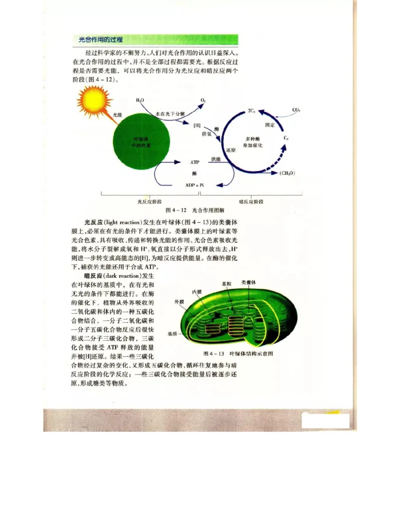 苏教版高中生物必修1《分子与细胞》电子课本_4-教培资料-26年最新资料-同步更新_初中高中教资_03科三专项（进去保存报考的学科即可）_112025高中科目（全）电子教材