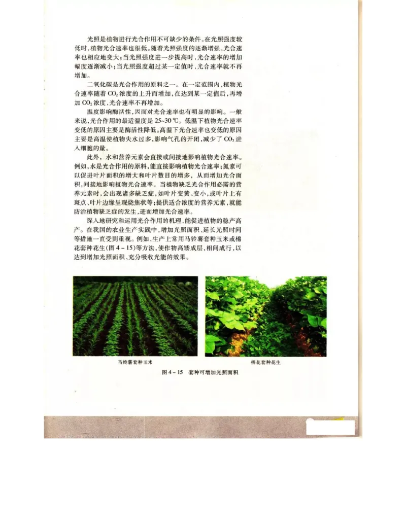 苏教版高中生物必修1《分子与细胞》电子课本_4-教培资料-26年最新资料-同步更新_初中高中教资_03科三专项（进去保存报考的学科即可）_112025高中科目（全）电子教材