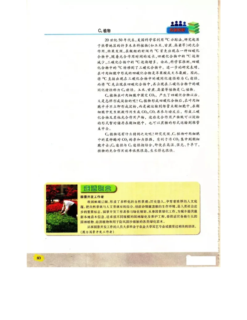 苏教版高中生物必修1《分子与细胞》电子课本_4-教培资料-26年最新资料-同步更新_初中高中教资_03科三专项（进去保存报考的学科即可）_112025高中科目（全）电子教材