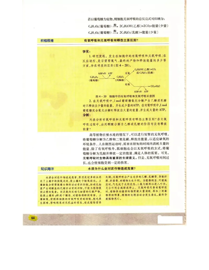 苏教版高中生物必修1《分子与细胞》电子课本_4-教培资料-26年最新资料-同步更新_初中高中教资_03科三专项（进去保存报考的学科即可）_112025高中科目（全）电子教材