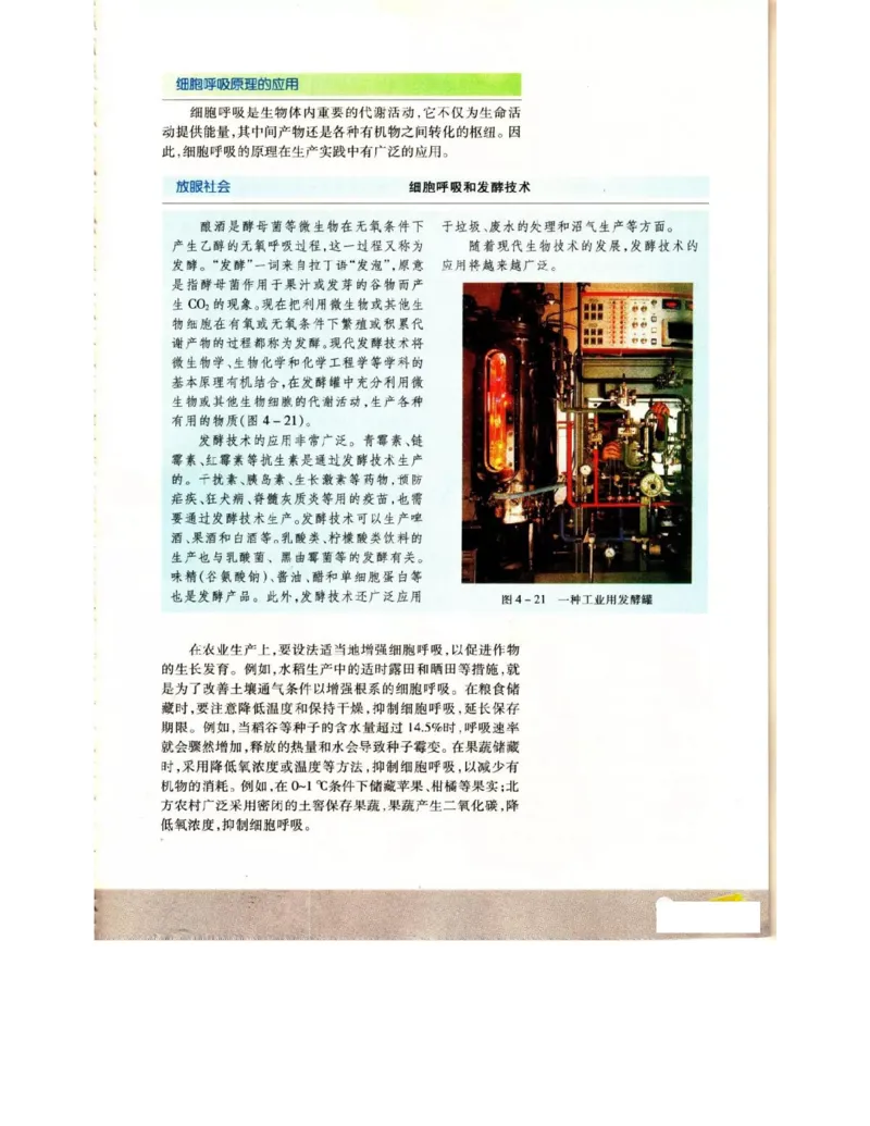 苏教版高中生物必修1《分子与细胞》电子课本_4-教培资料-26年最新资料-同步更新_初中高中教资_03科三专项（进去保存报考的学科即可）_112025高中科目（全）电子教材