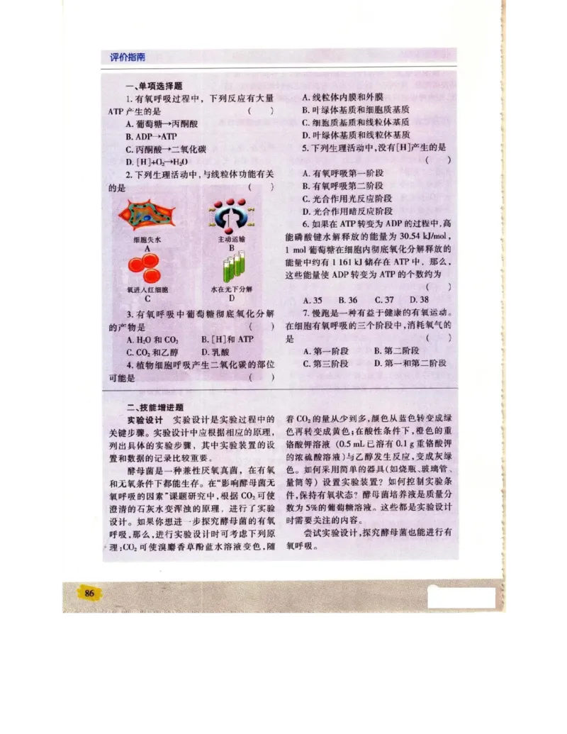 苏教版高中生物必修1《分子与细胞》电子课本_4-教培资料-26年最新资料-同步更新_初中高中教资_03科三专项（进去保存报考的学科即可）_112025高中科目（全）电子教材