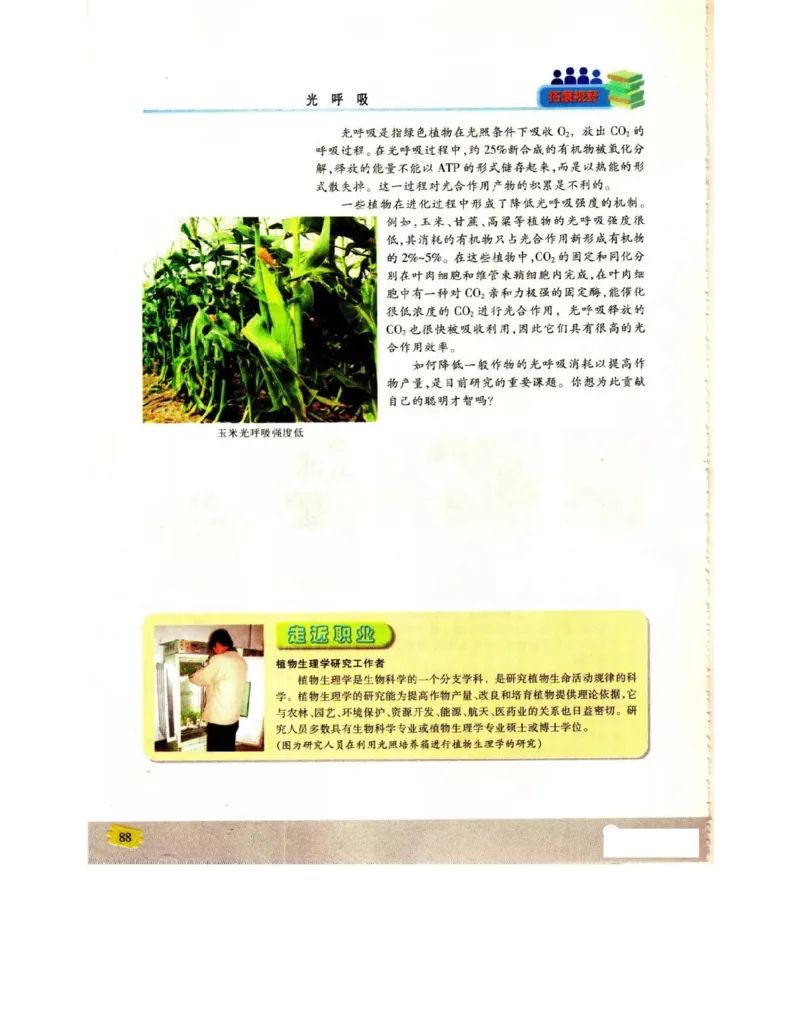 苏教版高中生物必修1《分子与细胞》电子课本_4-教培资料-26年最新资料-同步更新_初中高中教资_03科三专项（进去保存报考的学科即可）_112025高中科目（全）电子教材