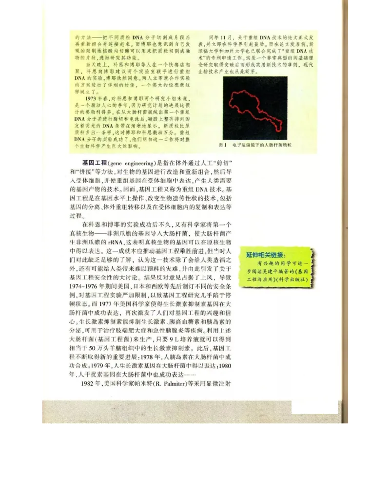 苏教版高中生物选修3《现代生物科技专题》电子课本_4-教培资料-26年最新资料-同步更新_初中高中教资_03科三专项（进去保存报考的学科即可）_112025高中科目（全）电子教材