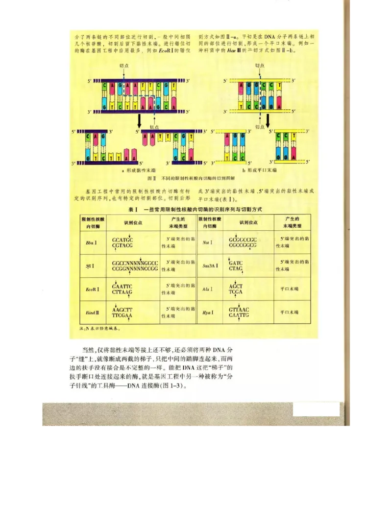 苏教版高中生物选修3《现代生物科技专题》电子课本_4-教培资料-26年最新资料-同步更新_初中高中教资_03科三专项（进去保存报考的学科即可）_112025高中科目（全）电子教材