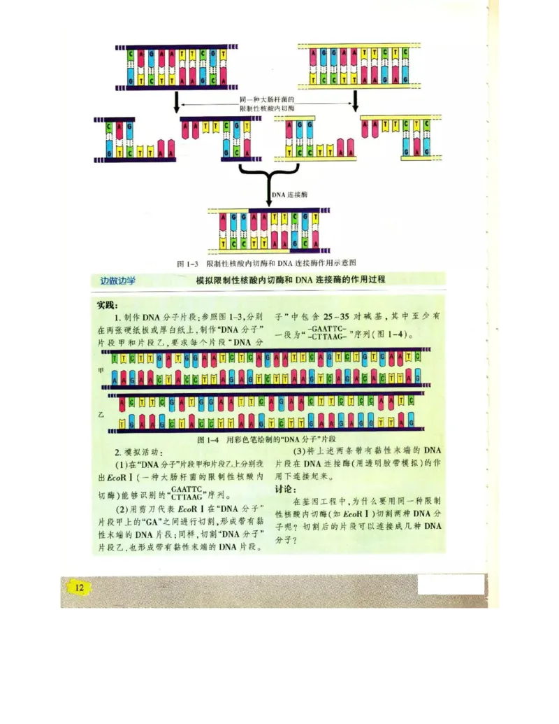 苏教版高中生物选修3《现代生物科技专题》电子课本_4-教培资料-26年最新资料-同步更新_初中高中教资_03科三专项（进去保存报考的学科即可）_112025高中科目（全）电子教材
