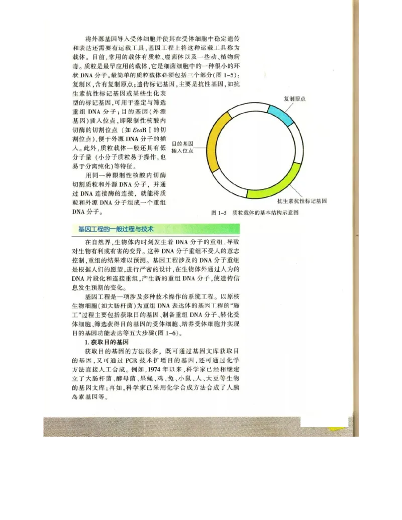 苏教版高中生物选修3《现代生物科技专题》电子课本_4-教培资料-26年最新资料-同步更新_初中高中教资_03科三专项（进去保存报考的学科即可）_112025高中科目（全）电子教材
