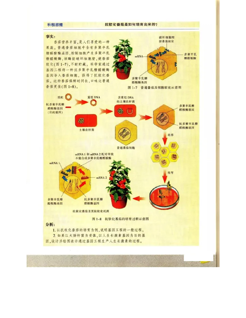 苏教版高中生物选修3《现代生物科技专题》电子课本_4-教培资料-26年最新资料-同步更新_初中高中教资_03科三专项（进去保存报考的学科即可）_112025高中科目（全）电子教材