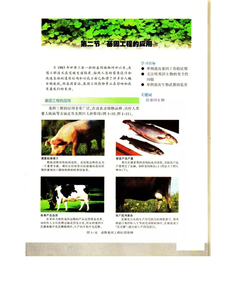 苏教版高中生物选修3《现代生物科技专题》电子课本_4-教培资料-26年最新资料-同步更新_初中高中教资_03科三专项（进去保存报考的学科即可）_112025高中科目（全）电子教材