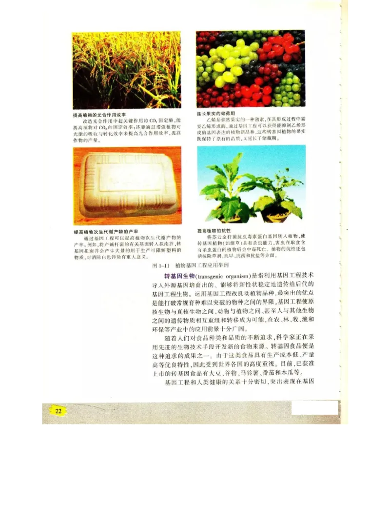 苏教版高中生物选修3《现代生物科技专题》电子课本_4-教培资料-26年最新资料-同步更新_初中高中教资_03科三专项（进去保存报考的学科即可）_112025高中科目（全）电子教材