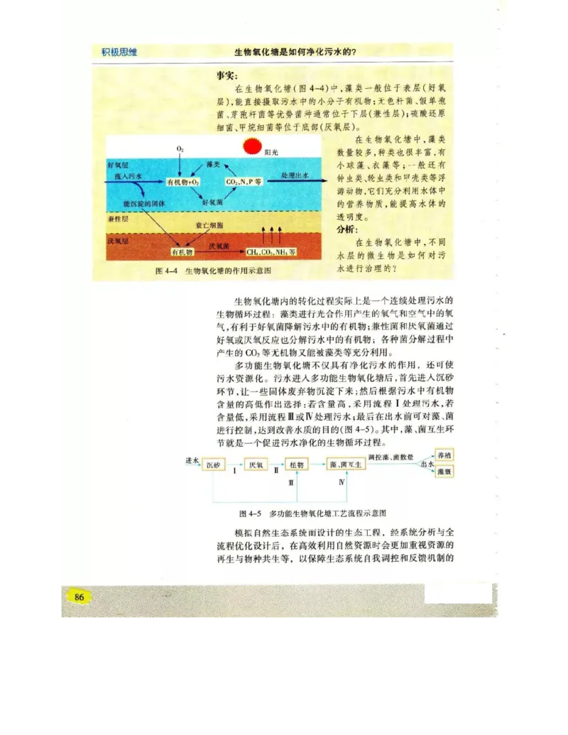 苏教版高中生物选修3《现代生物科技专题》电子课本_4-教培资料-26年最新资料-同步更新_初中高中教资_03科三专项（进去保存报考的学科即可）_112025高中科目（全）电子教材