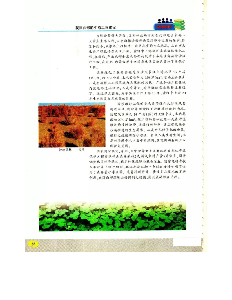 苏教版高中生物选修3《现代生物科技专题》电子课本_4-教培资料-26年最新资料-同步更新_初中高中教资_03科三专项（进去保存报考的学科即可）_112025高中科目（全）电子教材