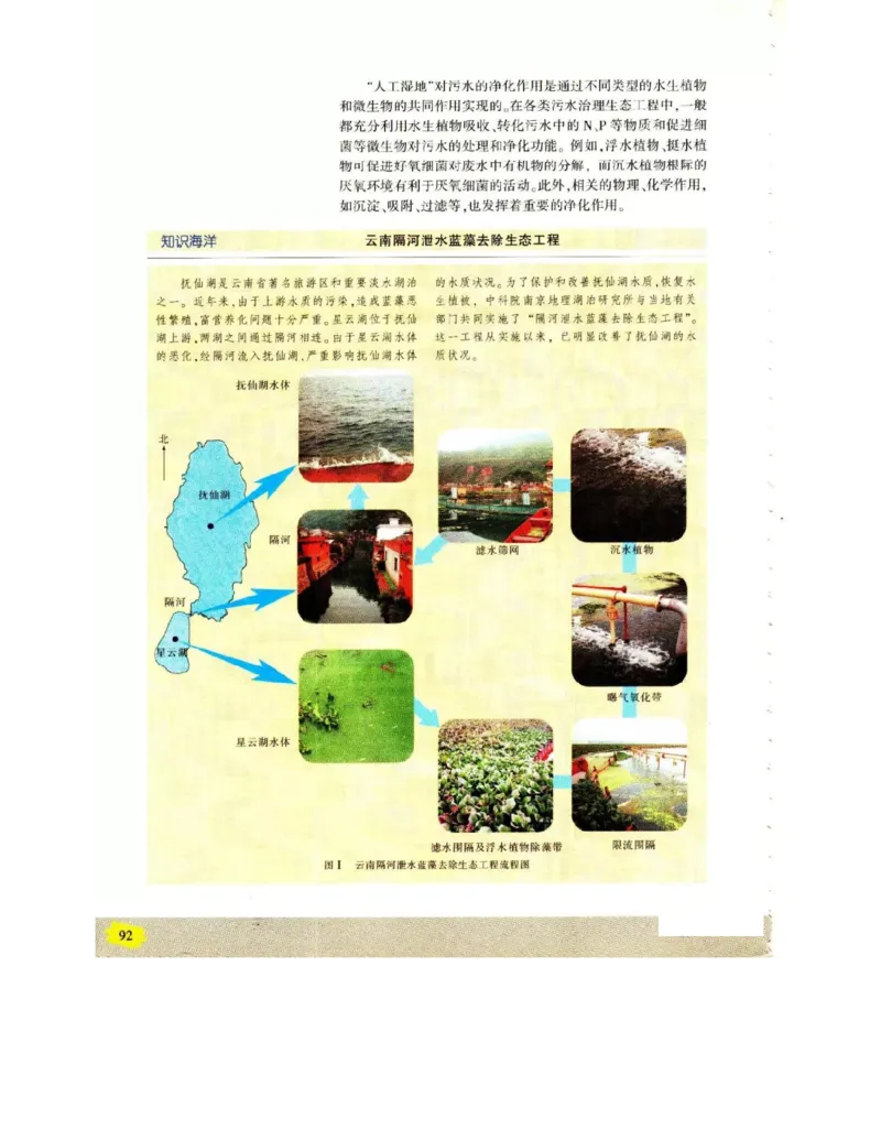 苏教版高中生物选修3《现代生物科技专题》电子课本_4-教培资料-26年最新资料-同步更新_初中高中教资_03科三专项（进去保存报考的学科即可）_112025高中科目（全）电子教材
