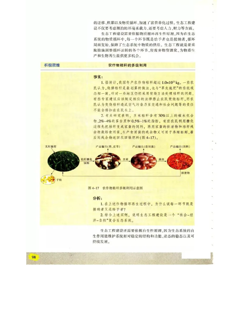 苏教版高中生物选修3《现代生物科技专题》电子课本_4-教培资料-26年最新资料-同步更新_初中高中教资_03科三专项（进去保存报考的学科即可）_112025高中科目（全）电子教材