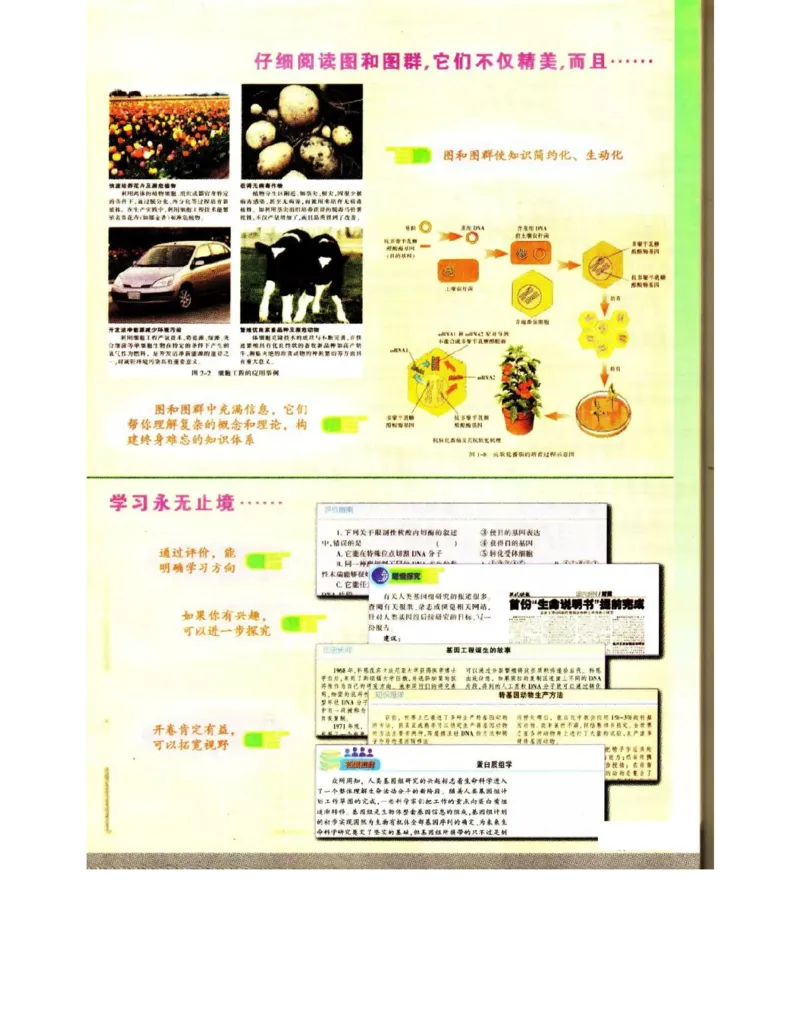 苏教版高中生物选修3《现代生物科技专题》电子课本_4-教培资料-26年最新资料-同步更新_初中高中教资_03科三专项（进去保存报考的学科即可）_112025高中科目（全）电子教材