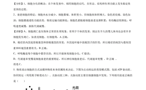 精品解析：浙江省宁波市镇海中学2023-2024学年高三12月月考生物试题（解析版）_2024届浙江省宁波市镇海中学高三12月首考模拟_浙江省宁波市镇海中学2024届高三12月首考模拟生物