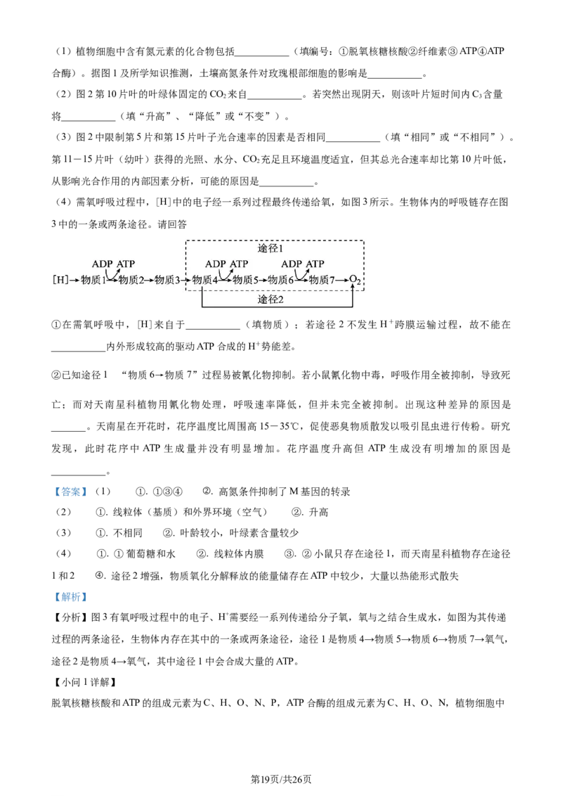 精品解析：浙江省宁波市镇海中学2023-2024学年高三12月月考生物试题（解析版）_2024届浙江省宁波市镇海中学高三12月首考模拟_浙江省宁波市镇海中学2024届高三12月首考模拟生物