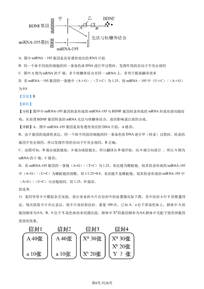 精品解析：浙江省宁波市镇海中学2023-2024学年高三12月月考生物试题（解析版）_2024届浙江省宁波市镇海中学高三12月首考模拟_浙江省宁波市镇海中学2024届高三12月首考模拟生物
