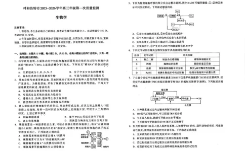 呼和浩特市2025-2026学年高三年级第一次质量监测+生物_2025年9月_250901呼和浩特市2025-2026学年高三年级第一次质量监测（全科）