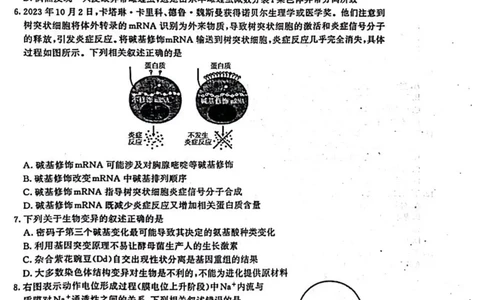 江苏省盐城市、南京市2023一2024学年高三上学期期末调研测试生物试题_2024届江苏省南京市、盐城市高三上学期第一次模拟考试_2024届江苏省南京市、盐城市高三上学期第一次模拟考试生物
