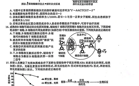 江苏省盐城市、南京市2023一2024学年高三上学期期末调研测试生物试题_2024届江苏省南京市、盐城市高三上学期第一次模拟考试_2024届江苏省南京市、盐城市高三上学期第一次模拟考试生物