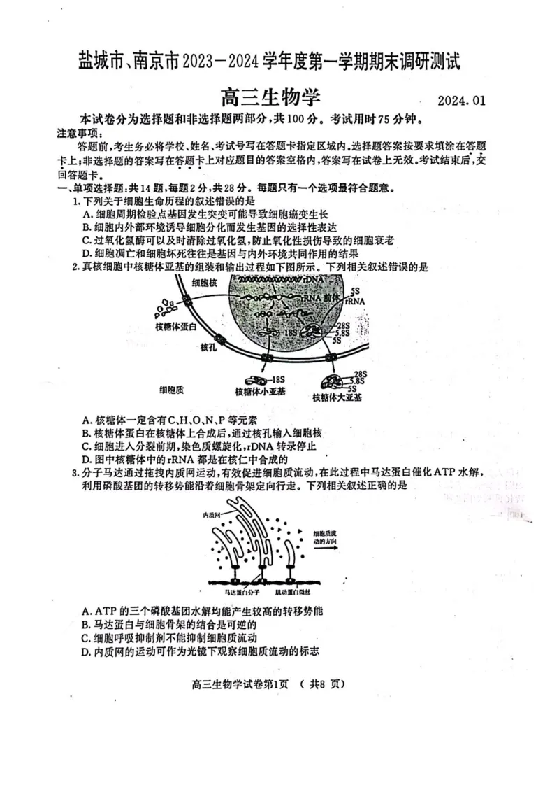 江苏省盐城市、南京市2023一2024学年高三上学期期末调研测试生物试题_2024届江苏省南京市、盐城市高三上学期第一次模拟考试_2024届江苏省南京市、盐城市高三上学期第一次模拟考试生物