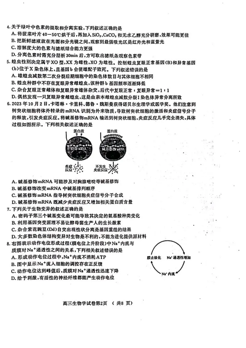 江苏省盐城市、南京市2023一2024学年高三上学期期末调研测试生物试题_2024届江苏省南京市、盐城市高三上学期第一次模拟考试_2024届江苏省南京市、盐城市高三上学期第一次模拟考试生物