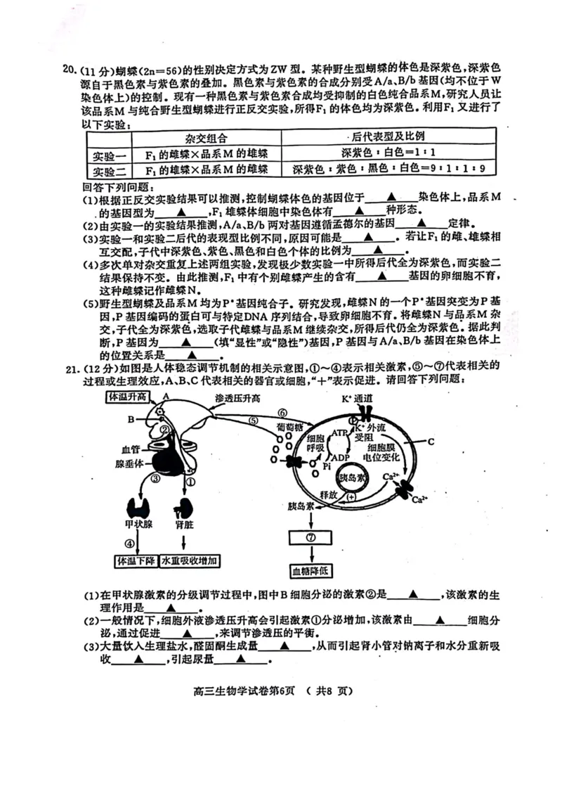 江苏省盐城市、南京市2023一2024学年高三上学期期末调研测试生物试题_2024届江苏省南京市、盐城市高三上学期第一次模拟考试_2024届江苏省南京市、盐城市高三上学期第一次模拟考试生物