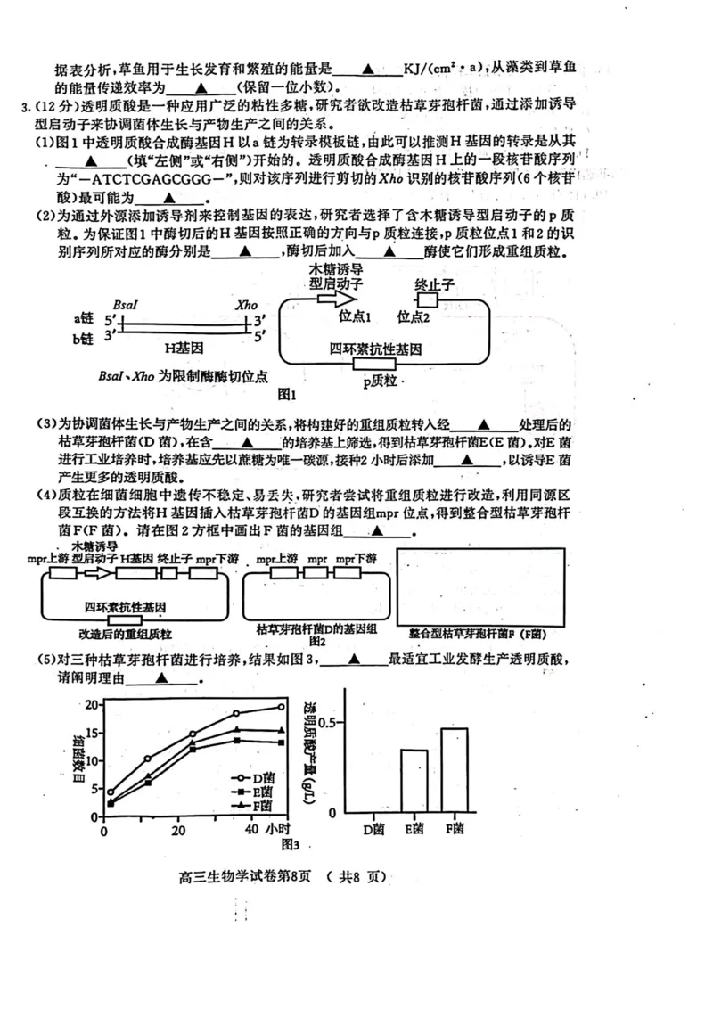 江苏省盐城市、南京市2023一2024学年高三上学期期末调研测试生物试题_2024届江苏省南京市、盐城市高三上学期第一次模拟考试_2024届江苏省南京市、盐城市高三上学期第一次模拟考试生物