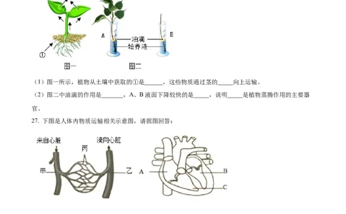 精品解析：2023年湖南省岳阳市中考生物真题（原卷版）(1)_中考真题_8.生物中考真题2015-2024年_2023年全国中考生物7.20_精品解析：2023年湖南省岳阳市中考生物真题
