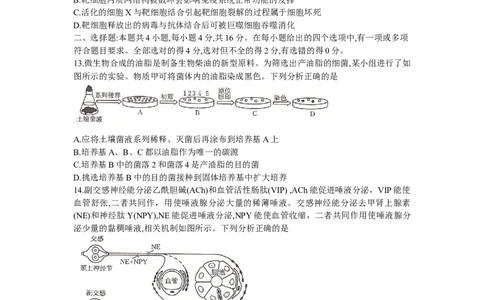 湖南省衡阳市2024届高三1月（期末）联考生物试题_2024届湖南省六市高三上学期1月金太阳期末统一考试（24-298C）_湖南省六市2024届高三上学期1月金太阳期末统一考试（24-298C）生物