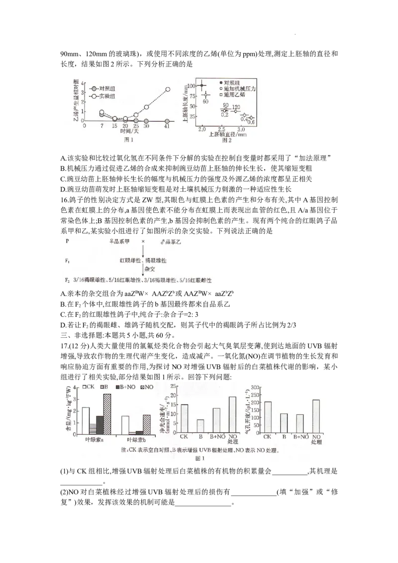湖南省衡阳市2024届高三1月（期末）联考生物试题_2024届湖南省六市高三上学期1月金太阳期末统一考试（24-298C）_湖南省六市2024届高三上学期1月金太阳期末统一考试（24-298C）生物