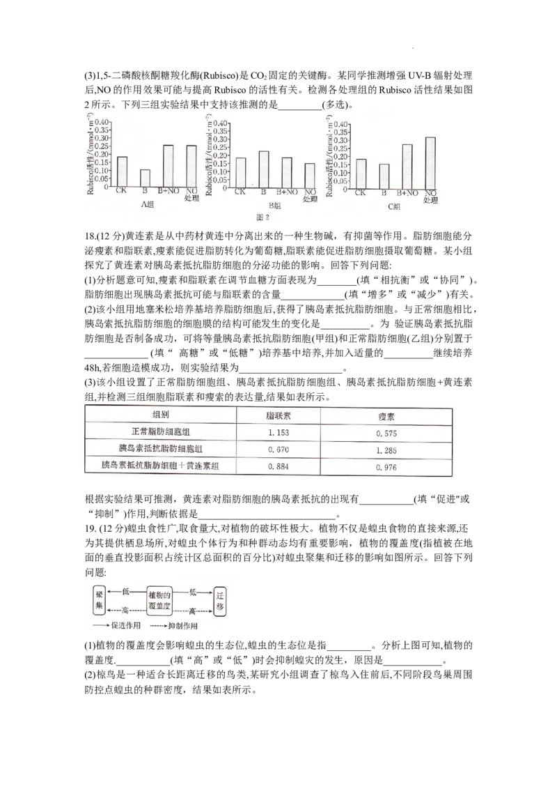 湖南省衡阳市2024届高三1月（期末）联考生物试题_2024届湖南省六市高三上学期1月金太阳期末统一考试（24-298C）_湖南省六市2024届高三上学期1月金太阳期末统一考试（24-298C）生物