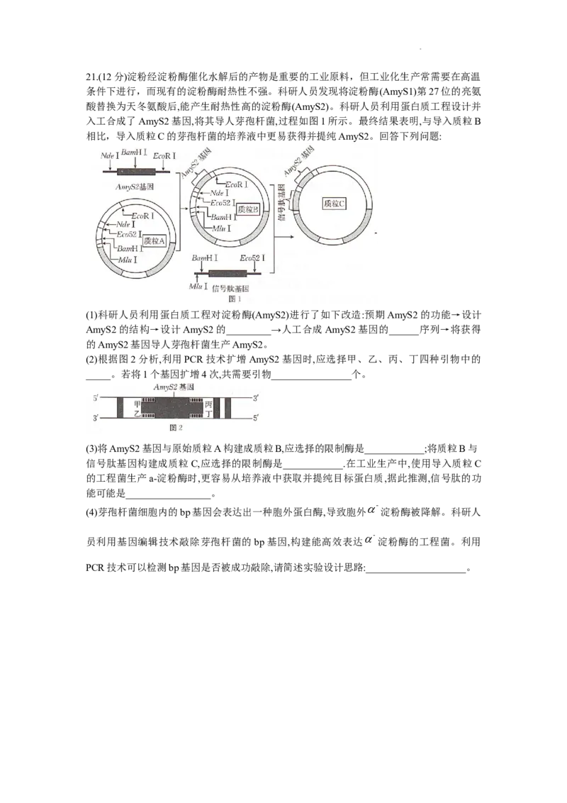 湖南省衡阳市2024届高三1月（期末）联考生物试题_2024届湖南省六市高三上学期1月金太阳期末统一考试（24-298C）_湖南省六市2024届高三上学期1月金太阳期末统一考试（24-298C）生物