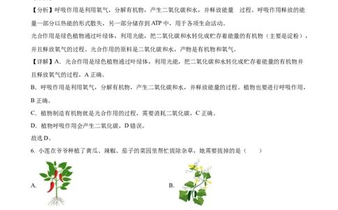 精品解析：2023年湖南省岳阳市中考生物真题（解析版）_中考真题_8.生物中考真题2015-2024年_2023年全国中考生物7.20_精品解析：2023年湖南省岳阳市中考生物真题