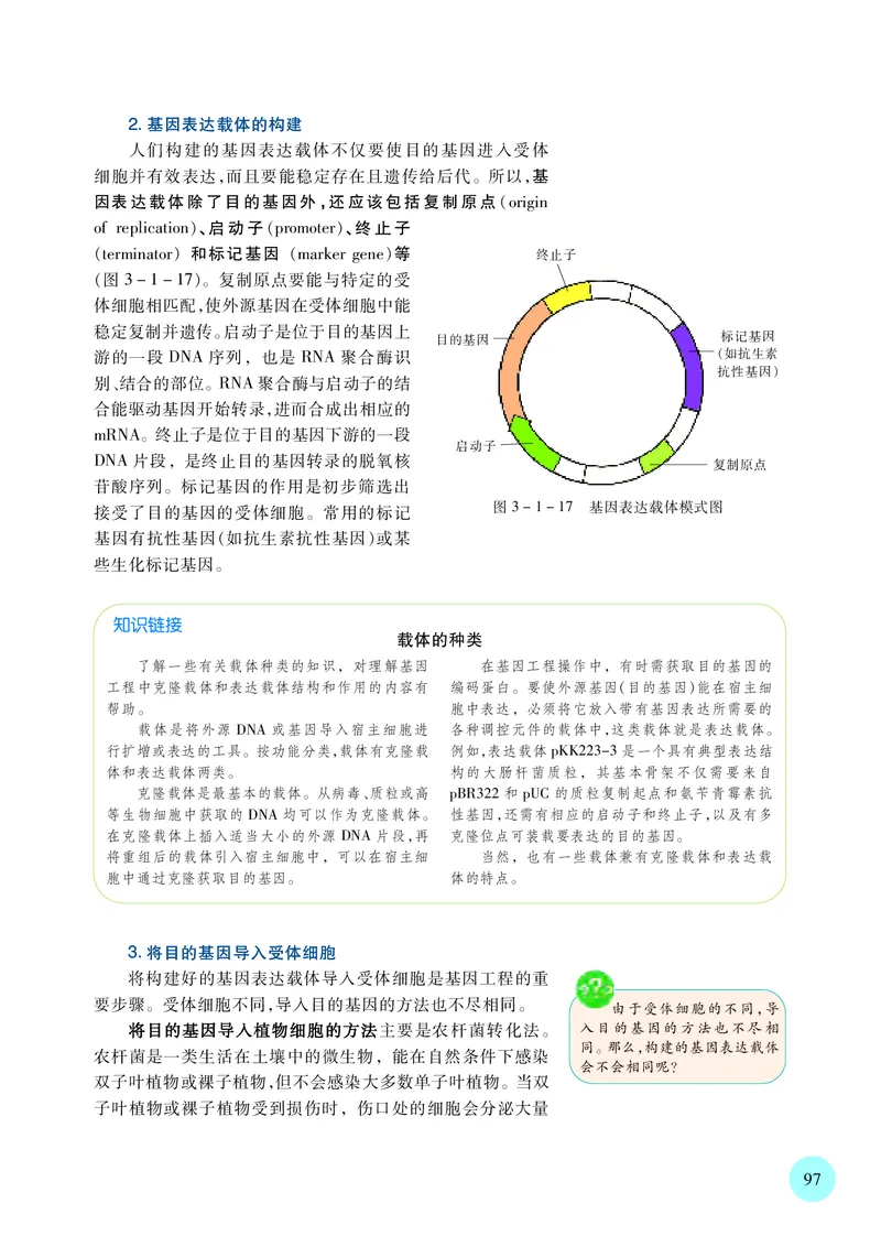 苏教版生物选修3高清教材_4-教培资料-26年最新资料-同步更新_初中高中教资_03科三专项（进去保存报考的学科即可）_02科三专项（笔记真题思维导图教学设计版本二）
