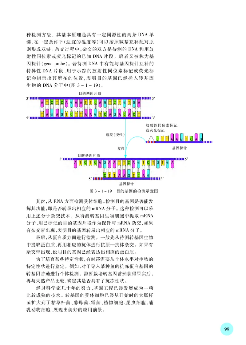 苏教版生物选修3高清教材_4-教培资料-26年最新资料-同步更新_初中高中教资_03科三专项（进去保存报考的学科即可）_02科三专项（笔记真题思维导图教学设计版本二）
