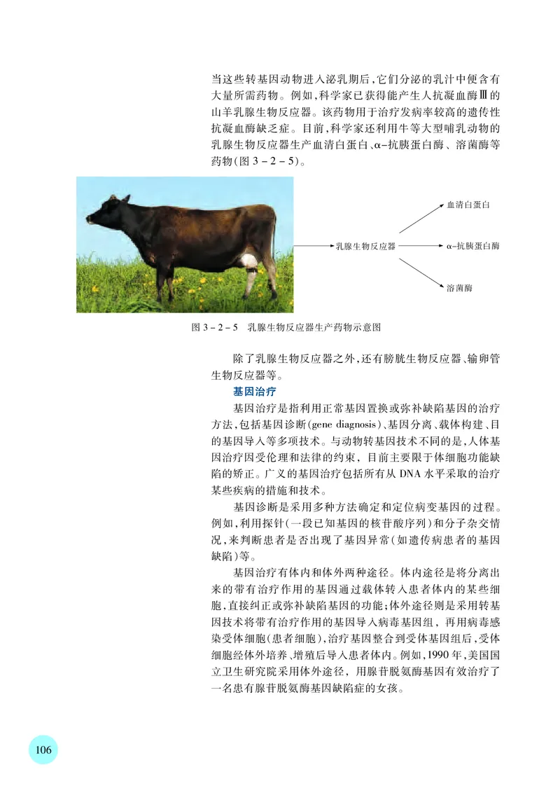 苏教版生物选修3高清教材_4-教培资料-26年最新资料-同步更新_初中高中教资_03科三专项（进去保存报考的学科即可）_02科三专项（笔记真题思维导图教学设计版本二）