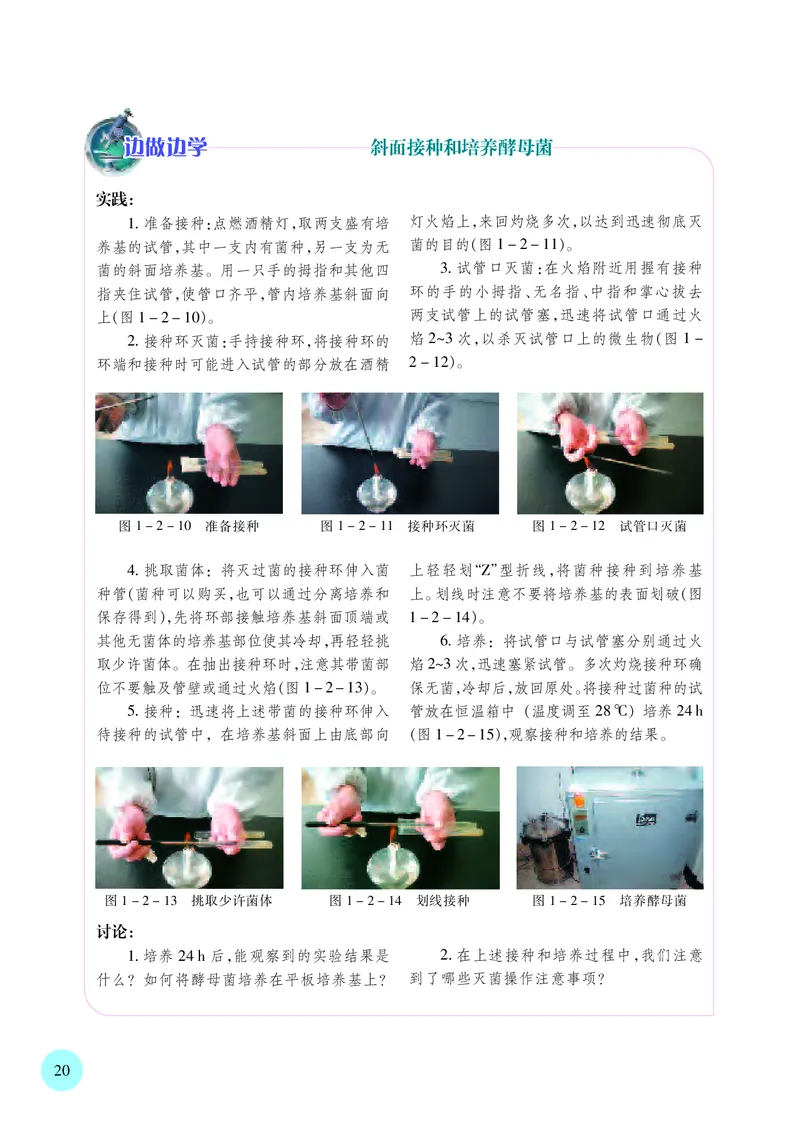 苏教版生物选修3高清教材_4-教培资料-26年最新资料-同步更新_初中高中教资_03科三专项（进去保存报考的学科即可）_02科三专项（笔记真题思维导图教学设计版本二）