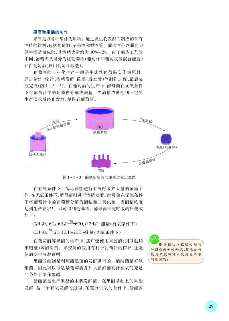 苏教版生物选修3高清教材_4-教培资料-26年最新资料-同步更新_初中高中教资_03科三专项（进去保存报考的学科即可）_02科三专项（笔记真题思维导图教学设计版本二）