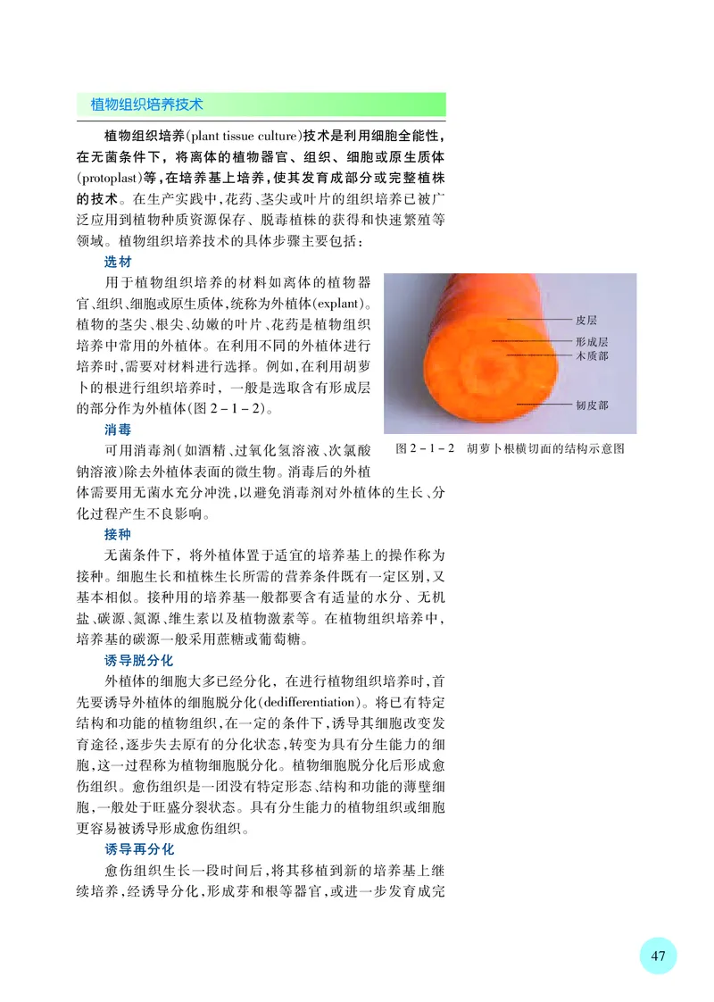 苏教版生物选修3高清教材_4-教培资料-26年最新资料-同步更新_初中高中教资_03科三专项（进去保存报考的学科即可）_02科三专项（笔记真题思维导图教学设计版本二）