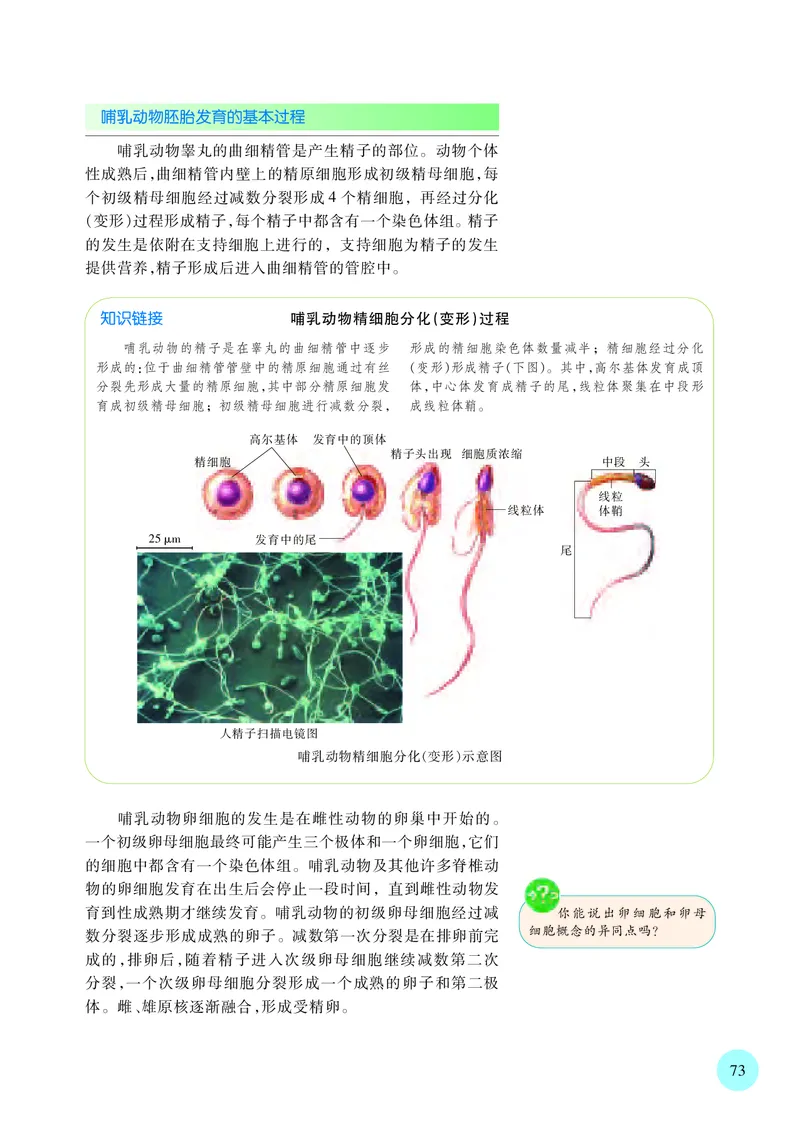 苏教版生物选修3高清教材_4-教培资料-26年最新资料-同步更新_初中高中教资_03科三专项（进去保存报考的学科即可）_02科三专项（笔记真题思维导图教学设计版本二）