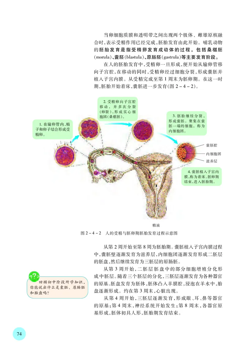 苏教版生物选修3高清教材_4-教培资料-26年最新资料-同步更新_初中高中教资_03科三专项（进去保存报考的学科即可）_02科三专项（笔记真题思维导图教学设计版本二）