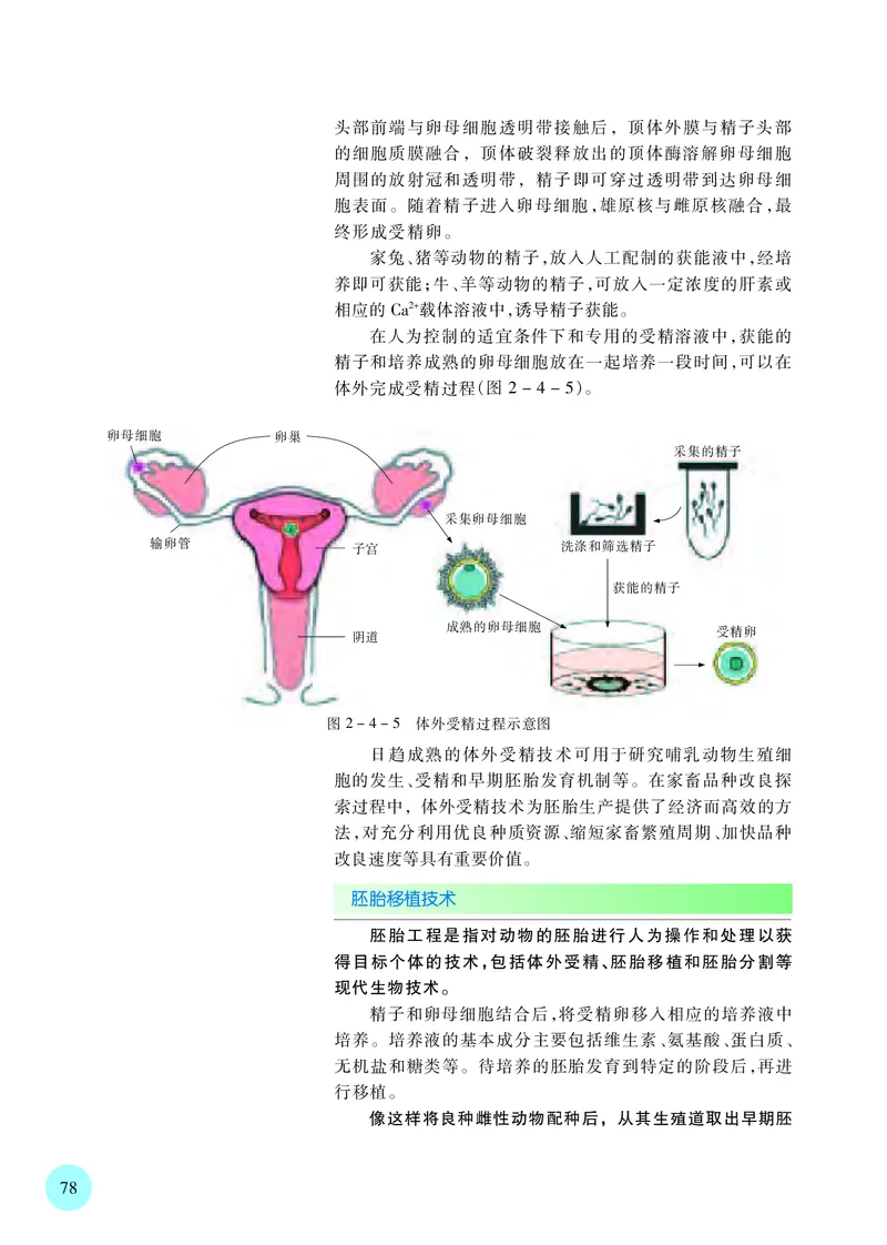 苏教版生物选修3高清教材_4-教培资料-26年最新资料-同步更新_初中高中教资_03科三专项（进去保存报考的学科即可）_02科三专项（笔记真题思维导图教学设计版本二）