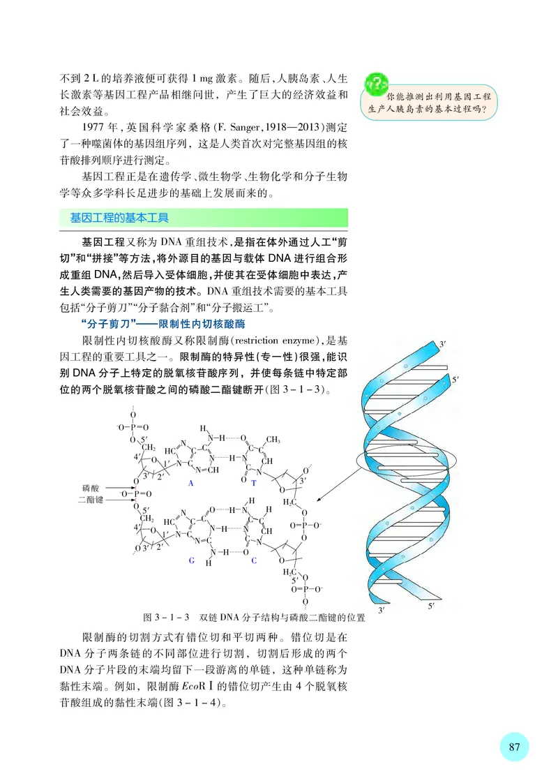 苏教版生物选修3高清教材_4-教培资料-26年最新资料-同步更新_初中高中教资_03科三专项（进去保存报考的学科即可）_02科三专项（笔记真题思维导图教学设计版本二）