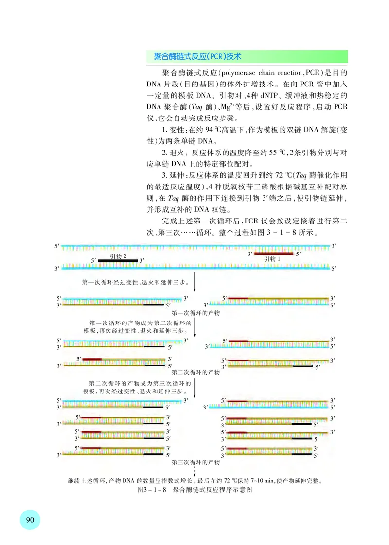 苏教版生物选修3高清教材_4-教培资料-26年最新资料-同步更新_初中高中教资_03科三专项（进去保存报考的学科即可）_02科三专项（笔记真题思维导图教学设计版本二）